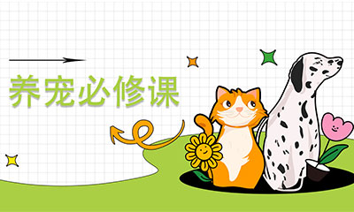 免費(fèi)訂閱 | 《寵物食品行業(yè)前沿資訊》9月刊
